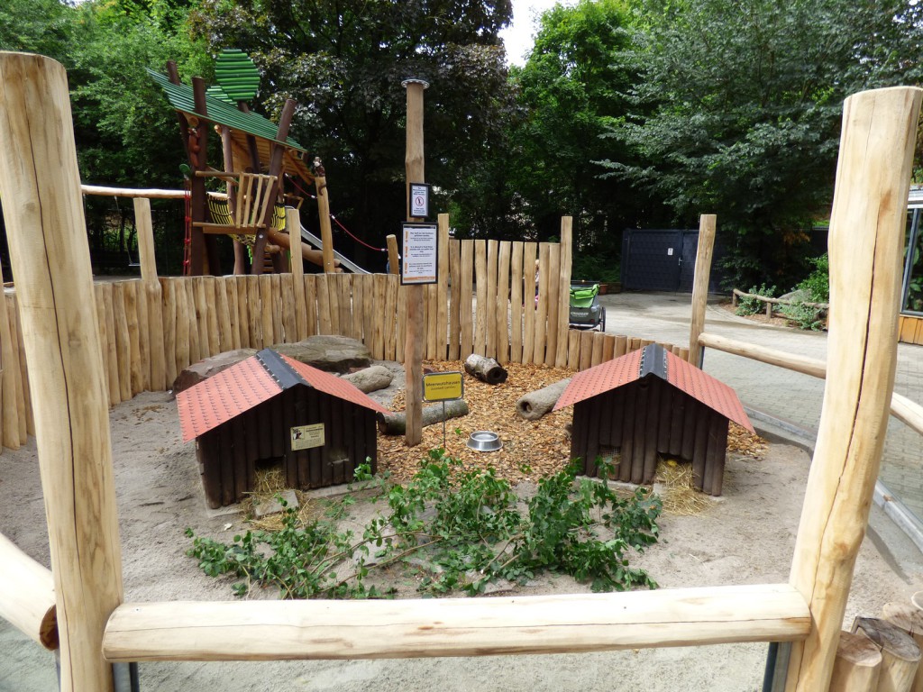 Der Landauer Zoo putzt sich raus: Meerwutzhausen...