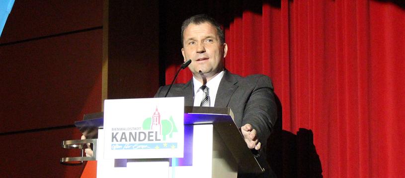 Martin Hess, AfD