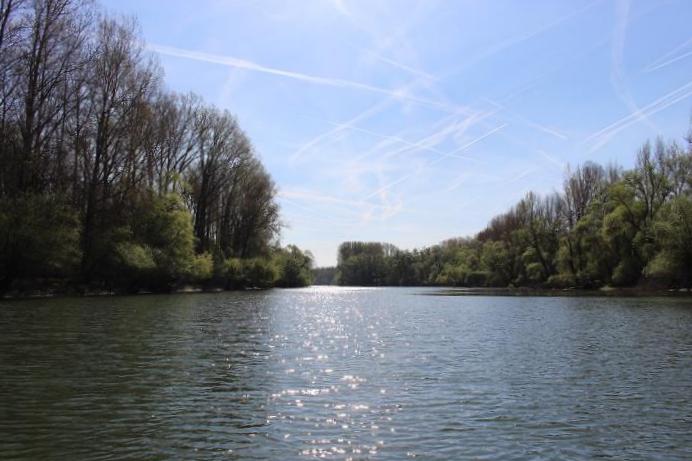 Einzigartige Landschaft: Die Rheinauen. Fotos: Pfalz-Express