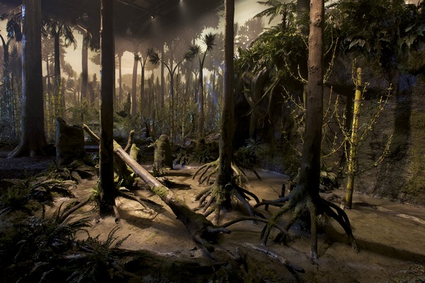 Gang durch einen urzeitlichen Wald. Foto: Gondwana-Praehistorium-Matthias Michael Kuhl