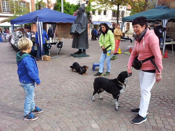 Die Dogdancer aus Neustadt werden mit von der Partie sein. Foto: Pfalz-Express/Ahme