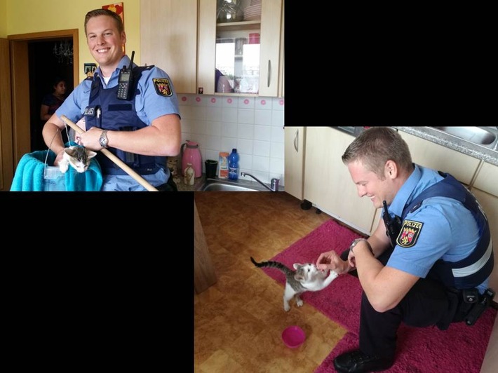 Kätzchen gerettet, Polizisten glücklich: Mit einer kreativen Idee wurde das Tier von der Dachkante geholt. Fotocollage: Polizei