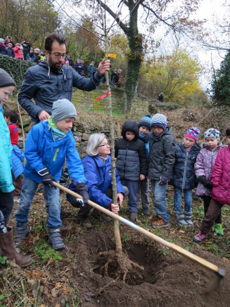 Die kleine, neue Streuobstwiese wird von den Kindern der Schöntalschule gepflegt. Foto: stadt-nw