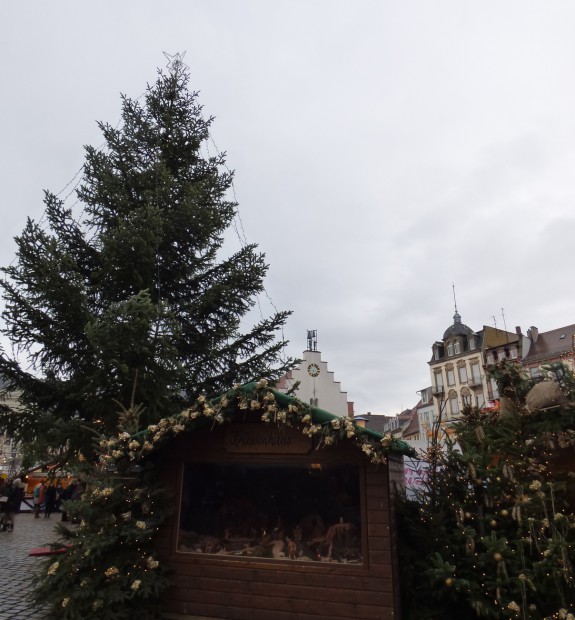 Gute Tradition: Große Weihnachtstanne mit Krippe. Foto: Pfalz-Express/Ahme