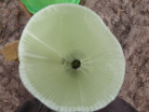 P1030302