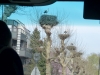 60plus2013-04-16_03