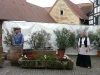 gleiszellen