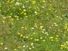 P1100281