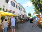 Brunnenfest-Hagenbach-2023-6
