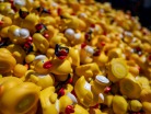 IMG-20220611-WA0001