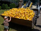 IMG-20220611-WA0031
