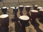 Fest für Afrika Straußenfarm Mhou Rülzheim - 10