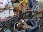 Herbstmarkt14