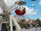 Herbstmarkt30