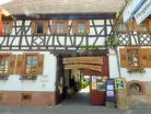 Historisches-Dorffest-Steinweiler-2023-14