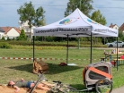 Jugendrotkreuz-Landeswettbewerb JRK 2019 Wörth - 14
