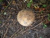 dscn0046