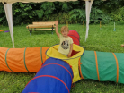 Kinderfest-Germersheim-2024-31
