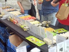 IMG_20220626_143246