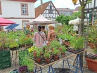 IMG_20220626_143951