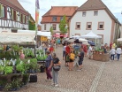 Kraeuter-und-Oelmarkt-Kandel-2022