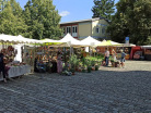 Kraeuter-und-Oelmarkt-Kandel-2023-25