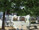 Kraeuter-und-Oelmarkt-Kandel-2023-30