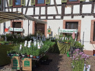 Kraeuter-und-Oelmarkt-Kandel-2023-34