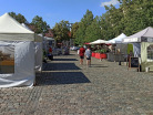 Kraeuter-und-Oelmarkt-Kandel-2023-39