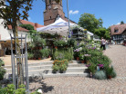 Kraeuter-und-Oelmarkt-Kandel-2023