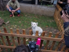 IMG_20201021_113930