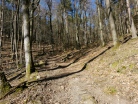 IMG_20220227_151224