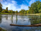 Ostpark-Epple-Schilfzone2