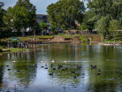 Ostpark-Wasserflaeche-2-Epple
