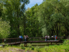 Rheinvorland-Leimersheim-11
