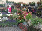 IMG_20220611_112541