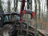 strauss-arbeiten-3