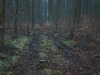 strauss-wege