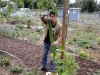 garten-luffa