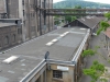 60plus2014-06-03_12