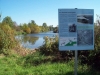 westwall-steinfelder-panzergraben