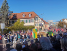 IMG_20221009_145307