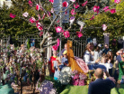 IMG_20221009_155938