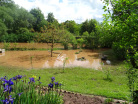 DSC08312