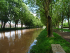 DSC08360