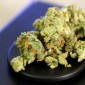 Cannabis in einer Schale