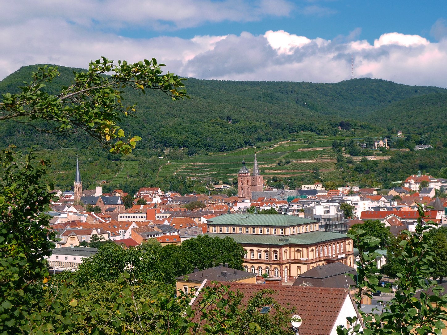 Neustadt untersagt weiterhin unangemeldete »Montagsspaziergänge« | Pfalz-Ex...