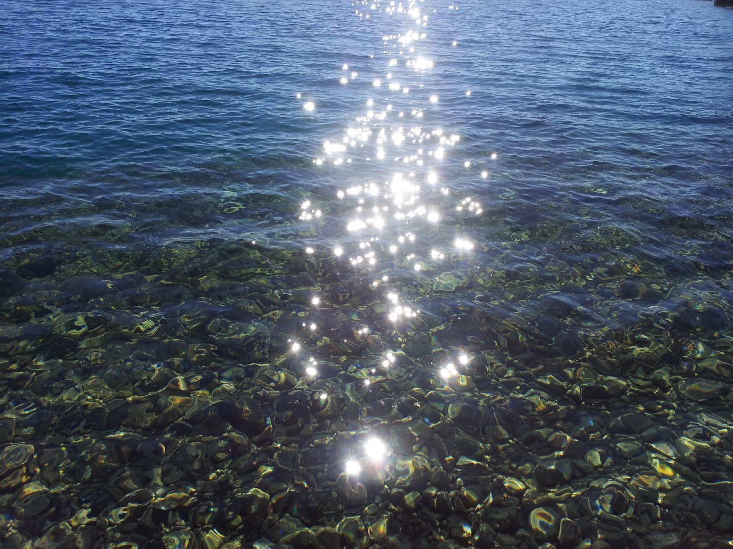 Glitzernde Sonnenstrahlen am See
