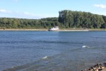 Rhein mit Containerschiff