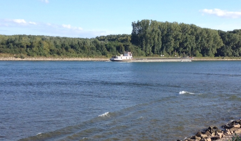 Rhein mit Containerschiff